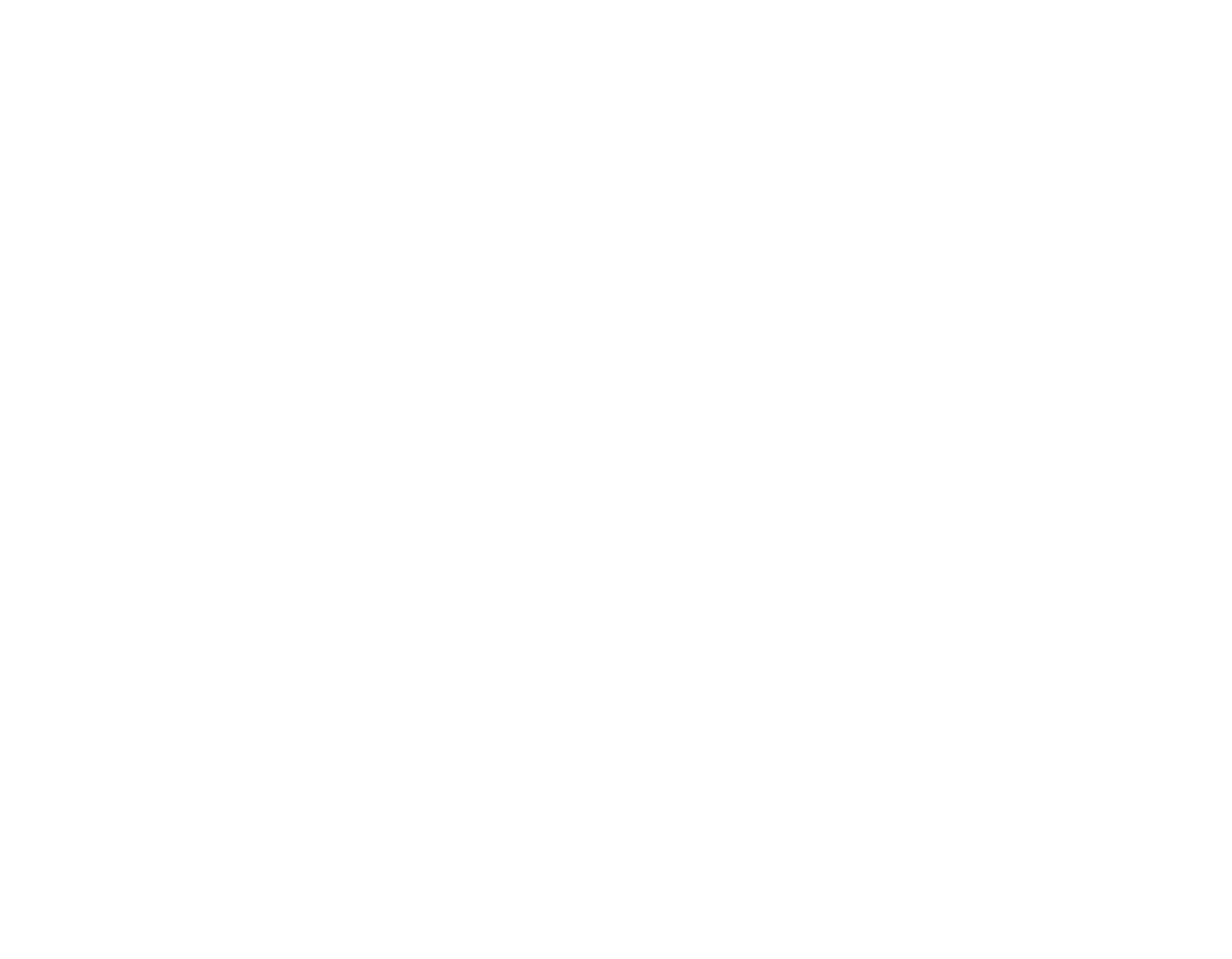 Nozak Consulting Logo White