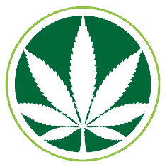 Cannabis Marketing from Nozak Consulting 1