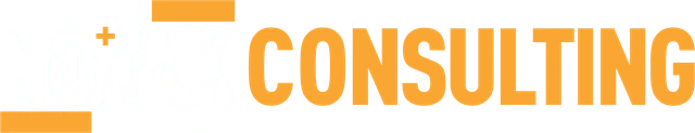 Nozak Consulting logo
