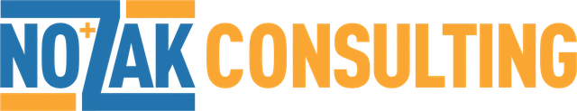 Nozak Consulting logo
